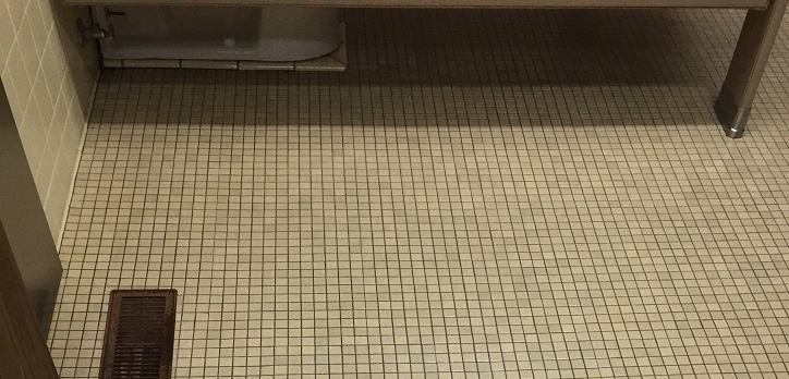 Bathroom Tile Cleaning and Protective Floor Coating in Salisbury Greensboro NC