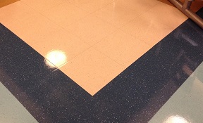 ETS Protective VCT/VCS Floor Coatings